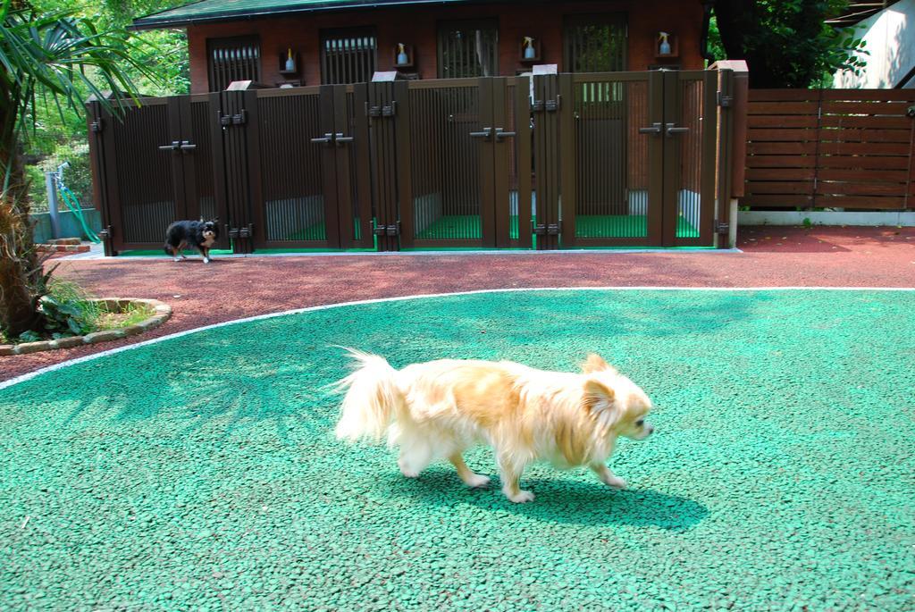 Okumizuma Onsen Hotel Kaizuka Buitenkant foto